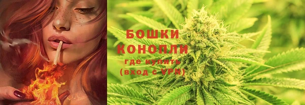 спиды Арсеньев