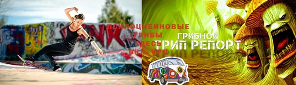спиды Арсеньев