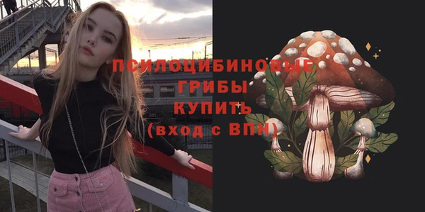 спиды Арсеньев